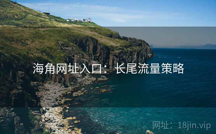 海角网址入口：长尾流量策略