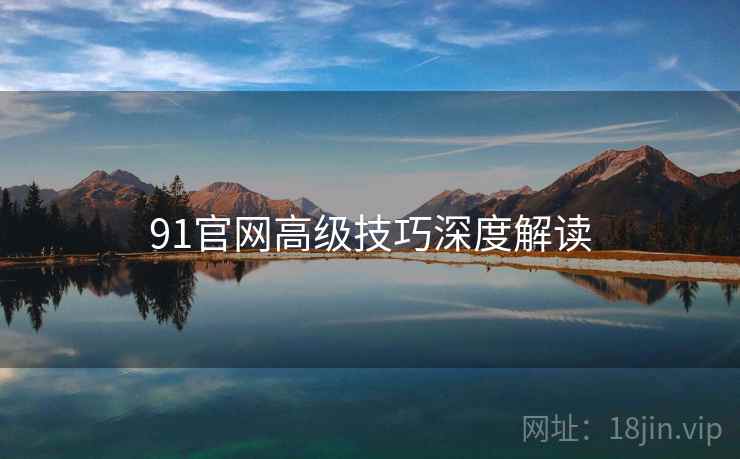 91官网高级技巧深度解读
