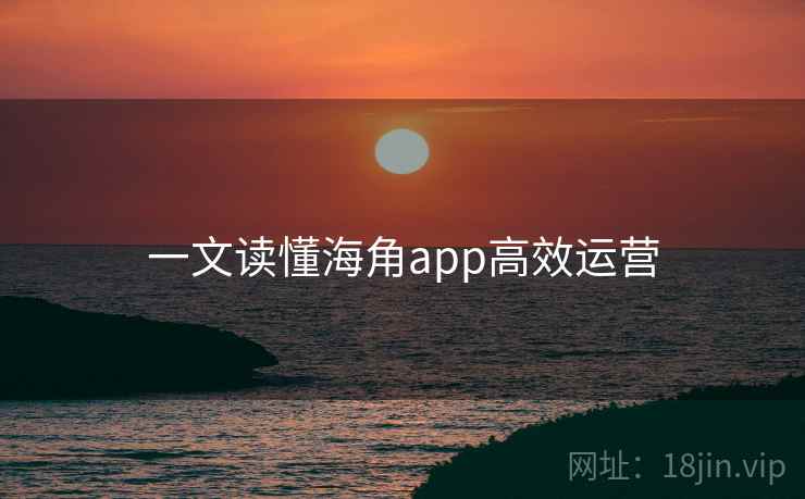 一文读懂海角app高效运营