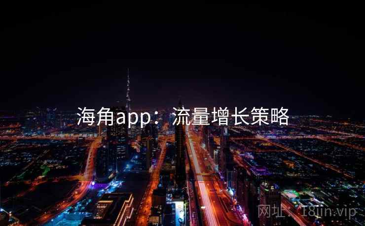 海角app：流量增长策略