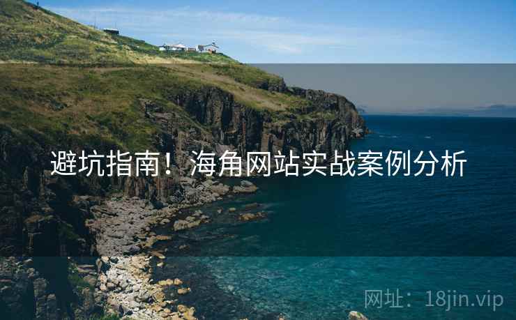 避坑指南！海角网站实战案例分析