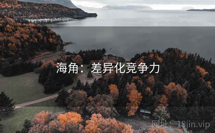 海角:差异化竞争力