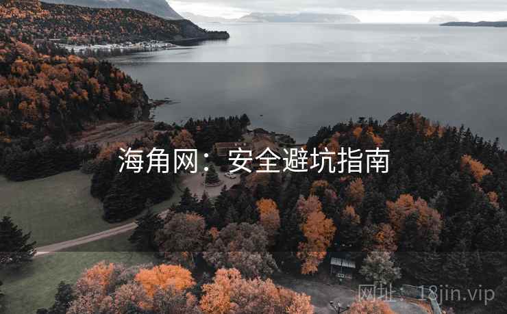 海角网：安全避坑指南