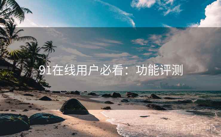 91在线用户必看:功能评测
