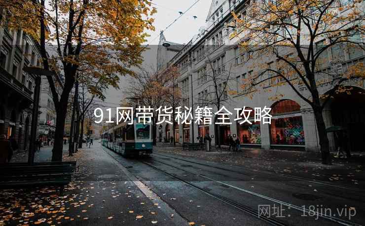 详细阅读:91网带货秘籍全攻略 91网带货秘籍全攻略