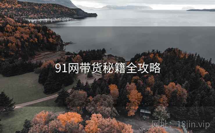 91网带货秘籍全攻略
